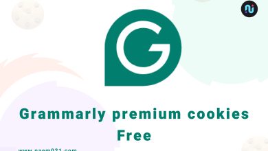 Grammarly Premium Cookies